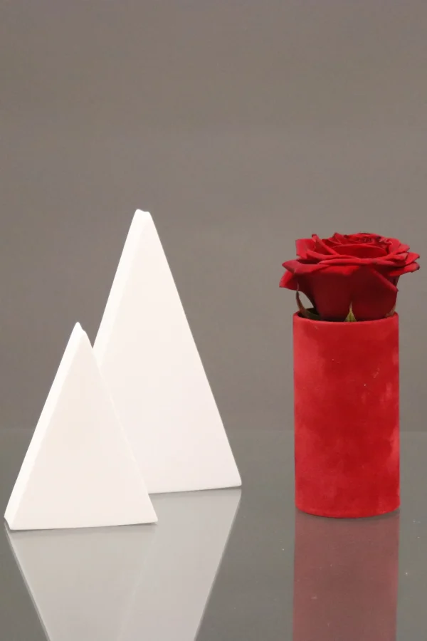 Luxe velvet bloemen doosje Rood (zonder tekst)