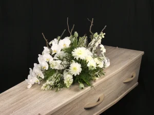 Orchidee white